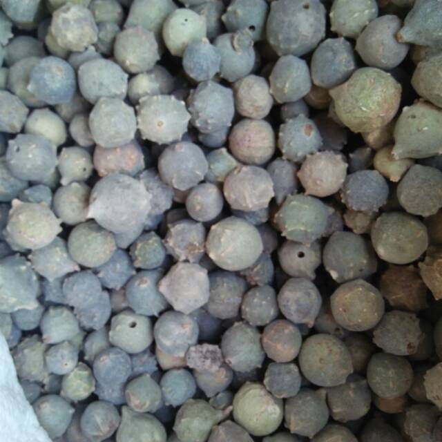 

BUAH MAJAKANI KERING 50gram/KEPUTIHAN/ORGAN INTIM