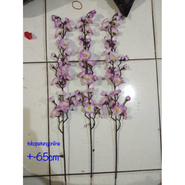 Bunga Sakura Meihwa Ungu Imlek