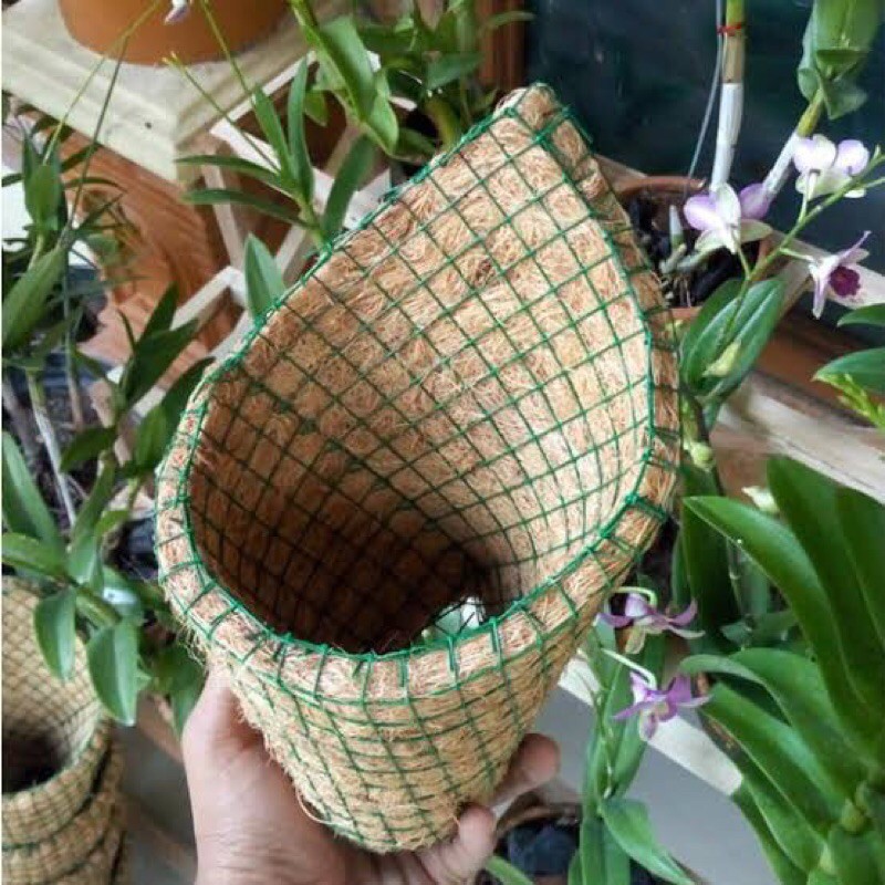 Pot Anggrek - Pot Sabut Kelapa untuk Anggrek