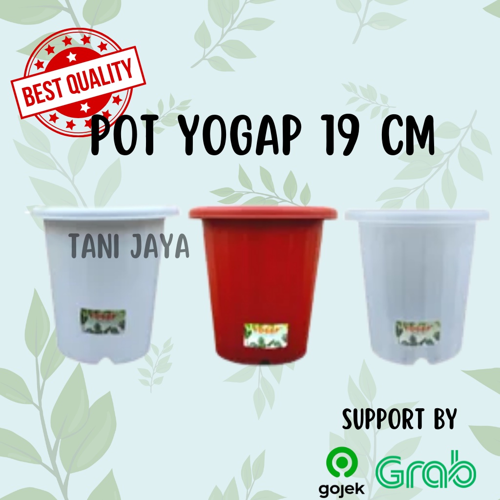 Pot Yogap 19 | Original