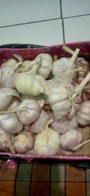 Bawang Putih Murah Siung Besar2 Bersihan Berat 1kg