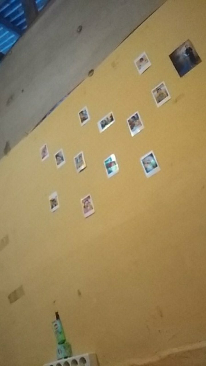 Kemasan Es Loli Tayo Besar