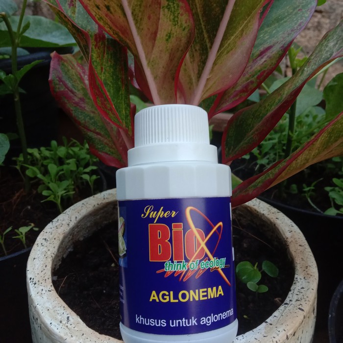 Pupuk Aglonema Bio Aglonema 100 ml Pupuk Tanaman Bunga Kembang Hias Aglonema