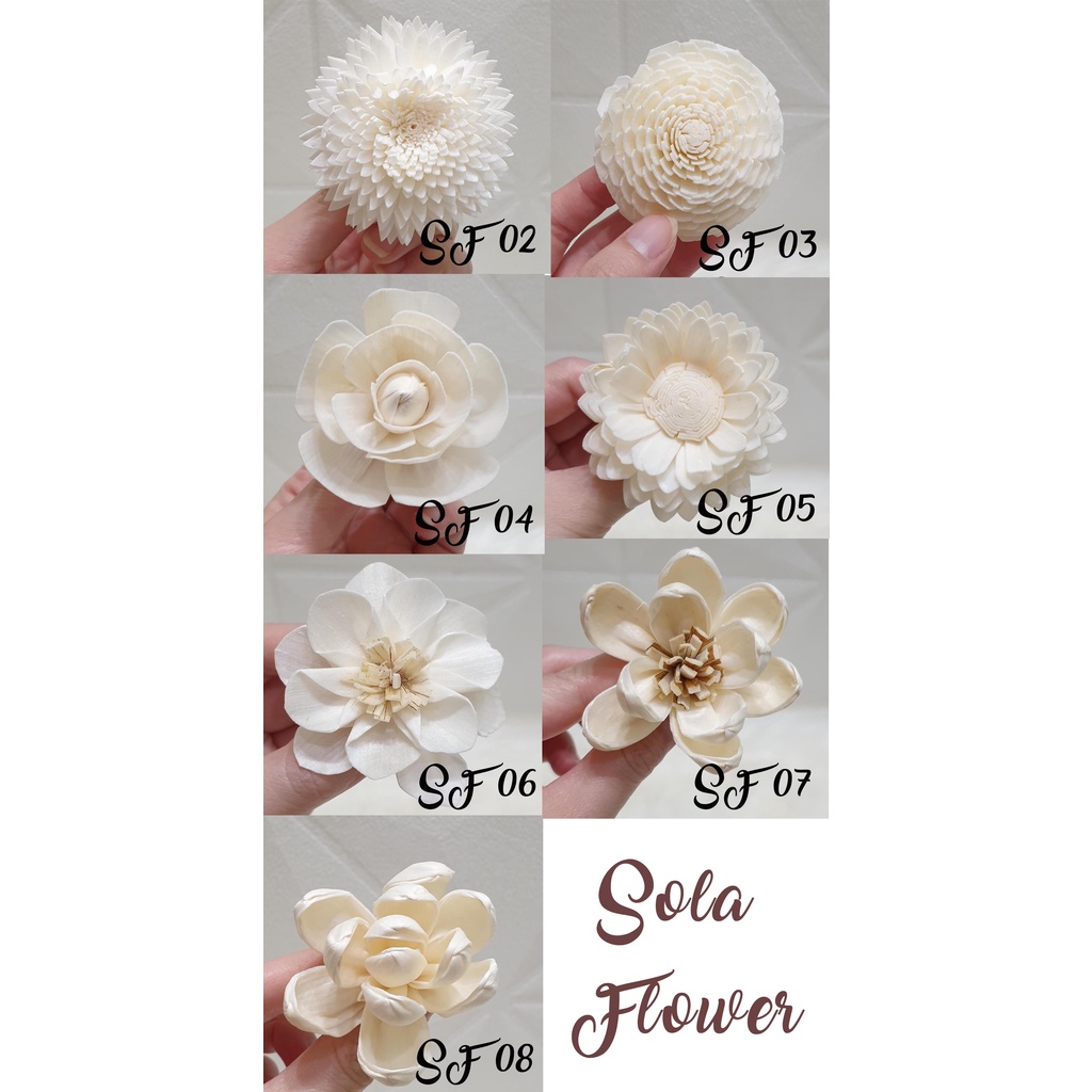 SOLA FLOWER 5-7cm / bunga sola / sola wood import diffuser
