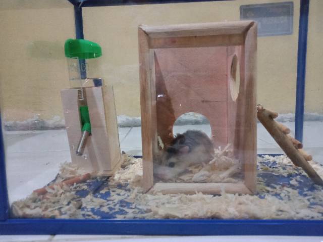 MAINAN HAMSTER - HIDING TOWER HAMSTER