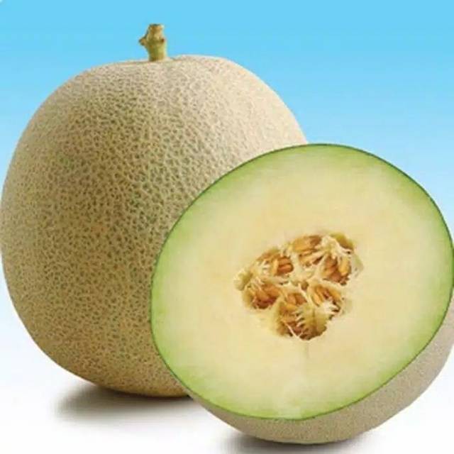 Jual Benih Bibit Buah Melon Super