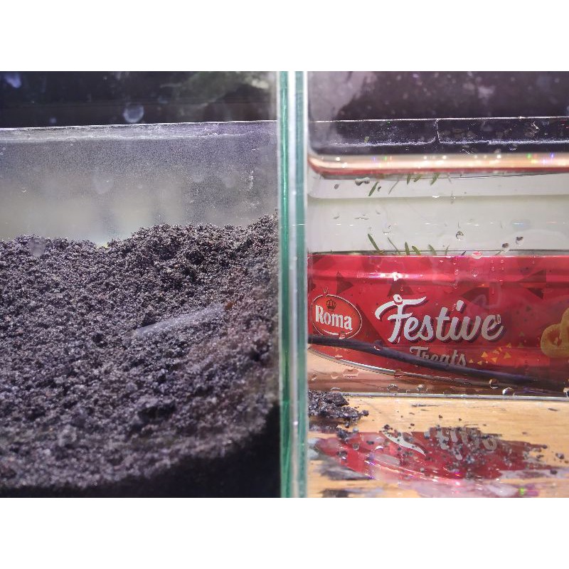  sticker  burem buram sandblast  aquarium  aquascape Shopee 