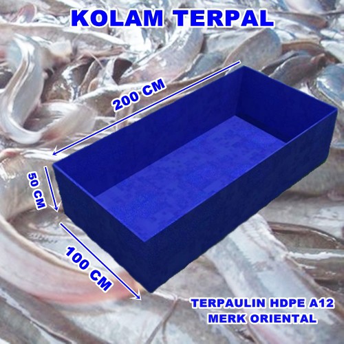 Kolam Ikan TERPAL UKURAN 200 cm x 100 cm x 50 cm | TERPAL KOLAM LELE