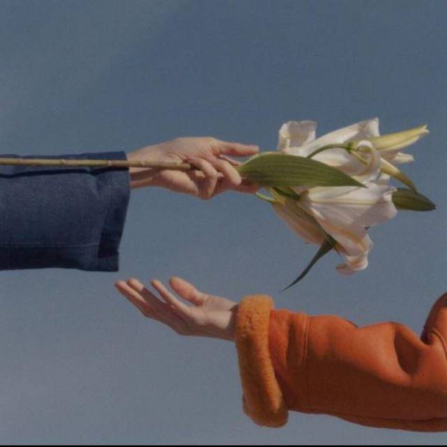 f76ikuu3kk2sgc4ne5a0qw67pybc