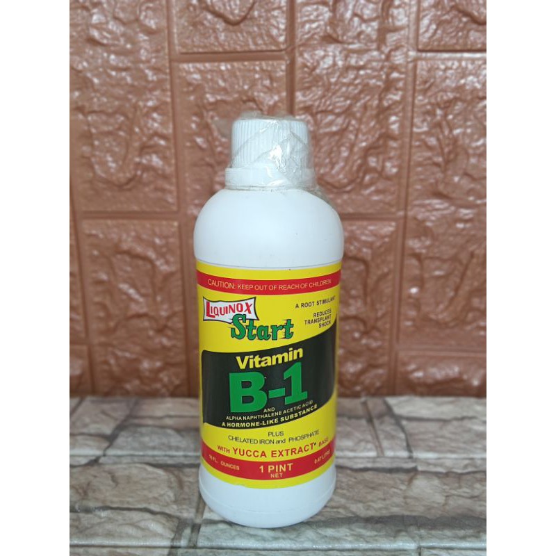 liquinox start B-1