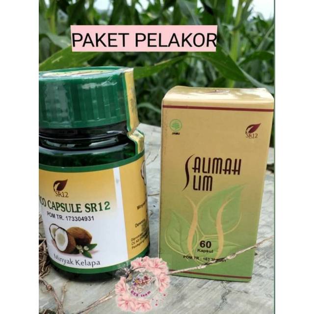 Paket pelakor SR12