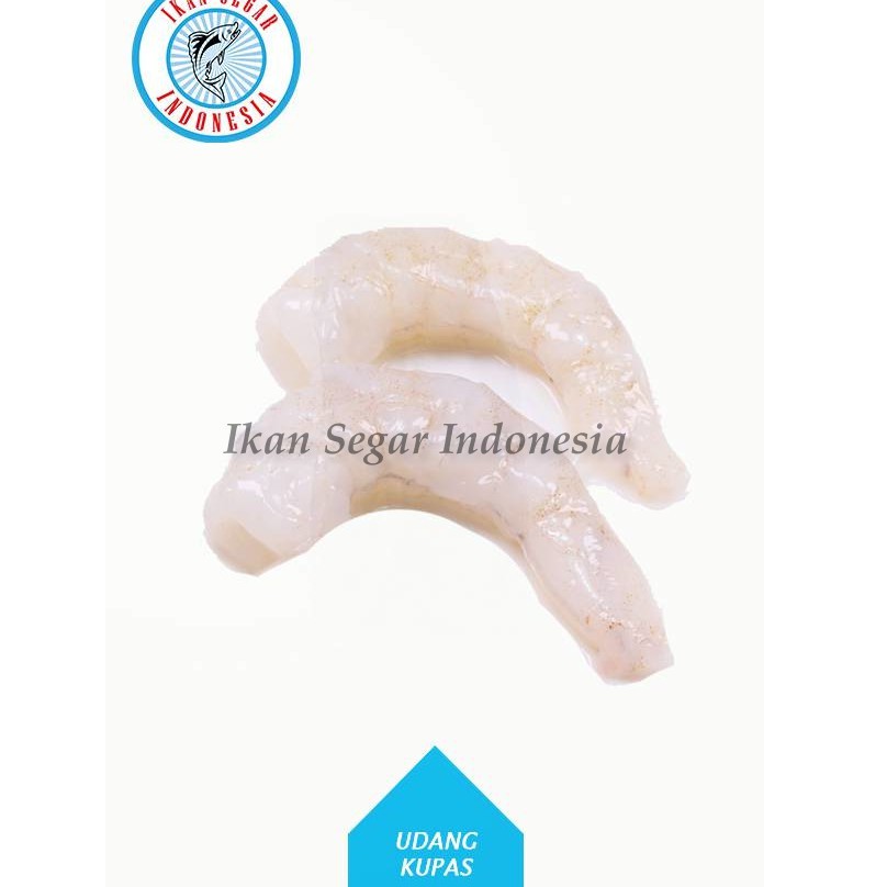 

UDANG PECI KUPAS / 45-55 pcs/ 900-1000 gr