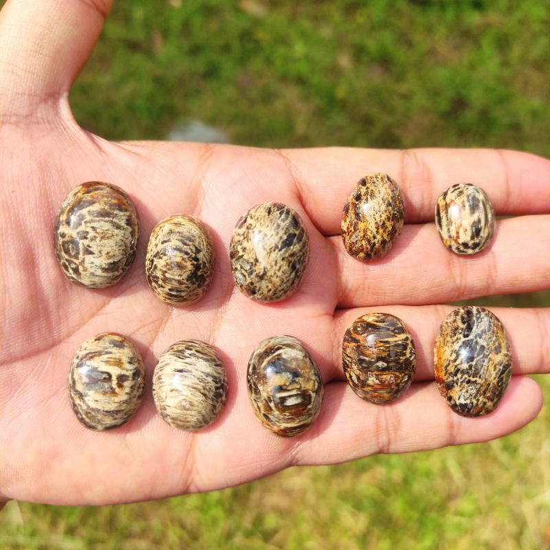 BATU AKIK  GALIH KAYU STIGI BAREK (SUDAH MENJADI BATU) (N)