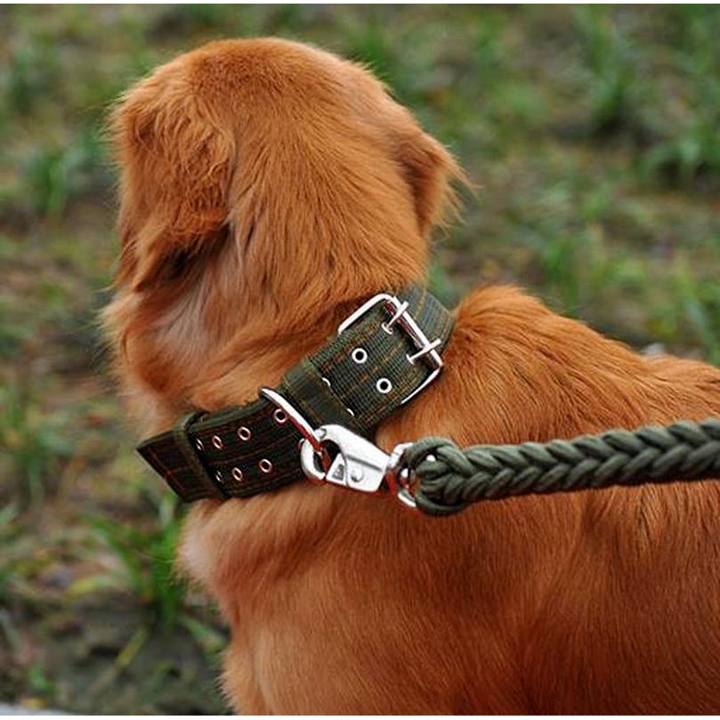 ★〓YUFeiPet〓★Golden Pet Collar Four-layer Thick Nylon Woven Double-breasted Large Dog Collar Dog Collar Cat Collar Pet Supplies