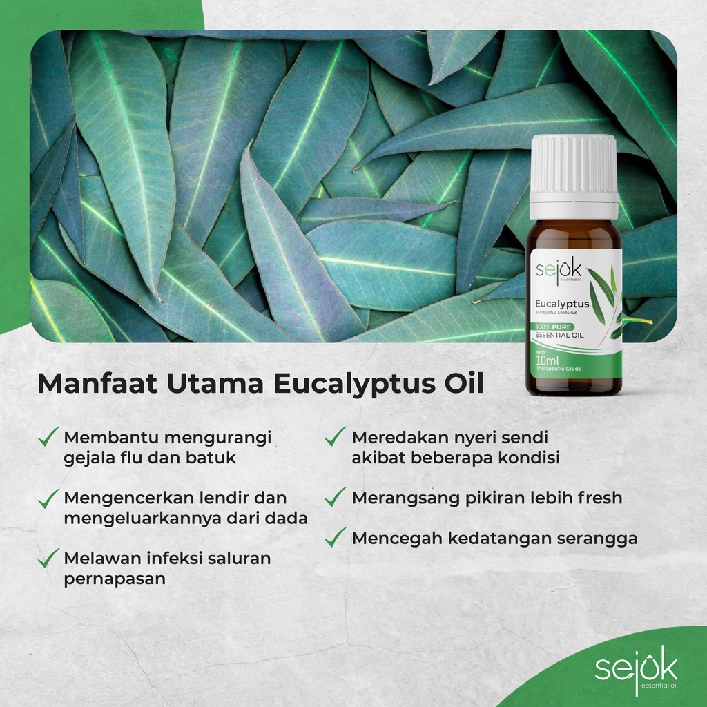 Sejuk Eucalyptus Essential Oil / Minyak Aromaterapi Pure 100% - 10 ml