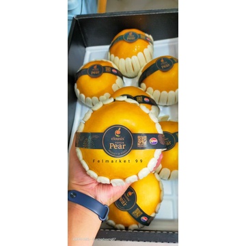 

pear Korea super jumbo original | buah pear Korea jumbo 1 pcs