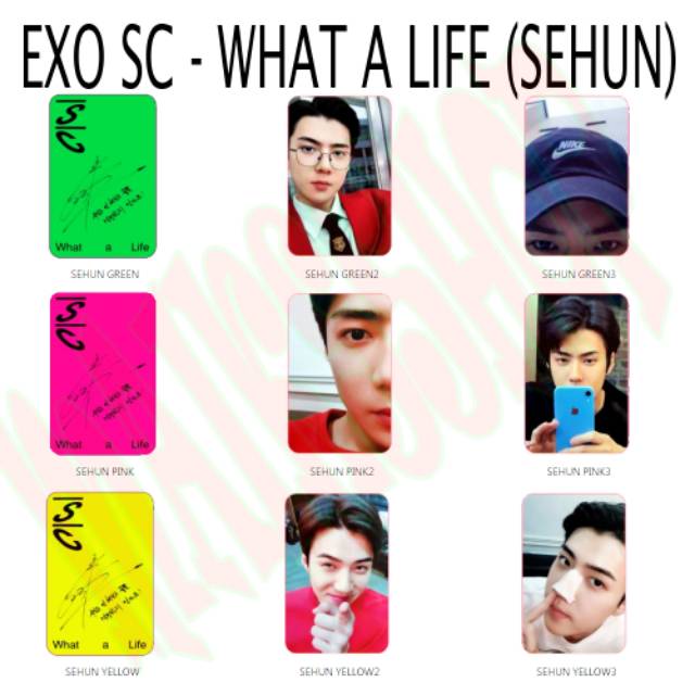 EXO SC Sehun Chanyeol What A Life Photocard Kpop