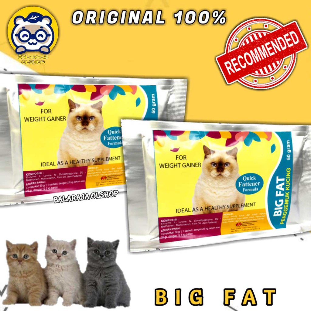 VITAMIN PENAMBAH NAFSU MAKAN DAN PENGGEMUK BADAN KUCING &amp; KITTEN - BIG FAT