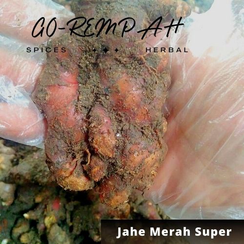 

Jahe merah segar 1kg/ Jahe merah Medan segar