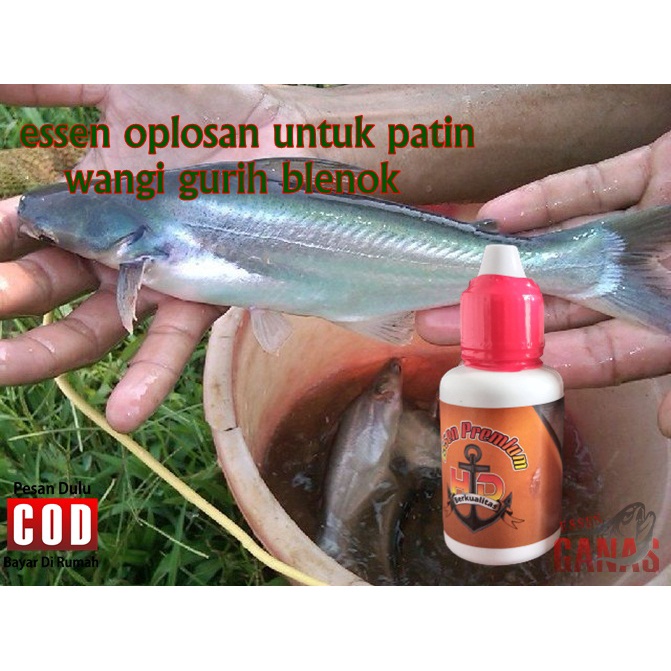 ESSEN PATIN LELE ESSEN PREMIUM HD