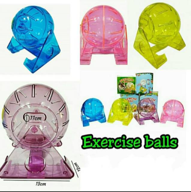 HAMSTER - MAINAN HAMSTER - EXERCISE BALL HAMSTER