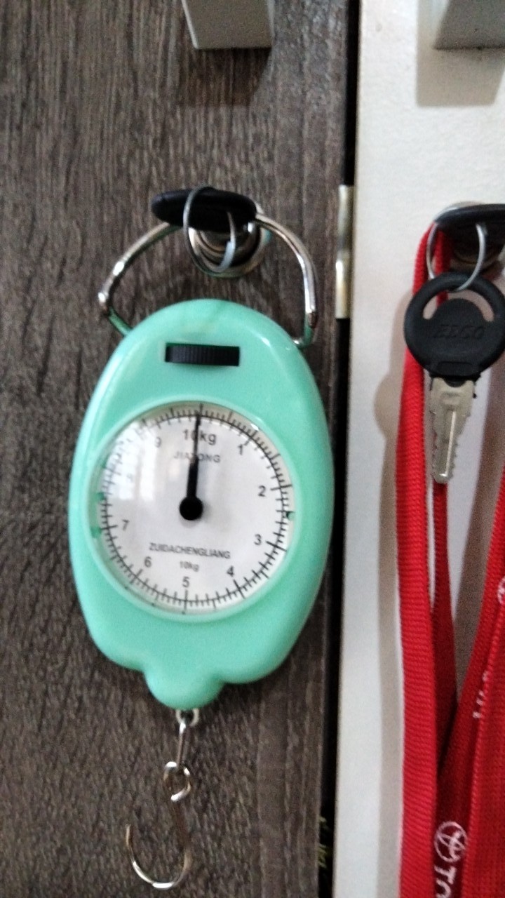 Timbangan Gantung 50 Kg/ 10 Kg - Sosoyo