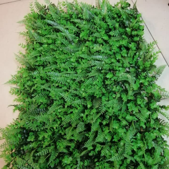 bibit tanaman ramnat hiasan dinding artificial - daun rambat