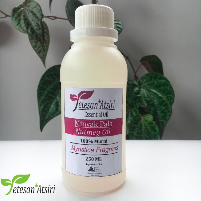 250ml minyak atsiri pala murni 100% nutmeg pure essential oil essensial oil 100% tanpa campuran