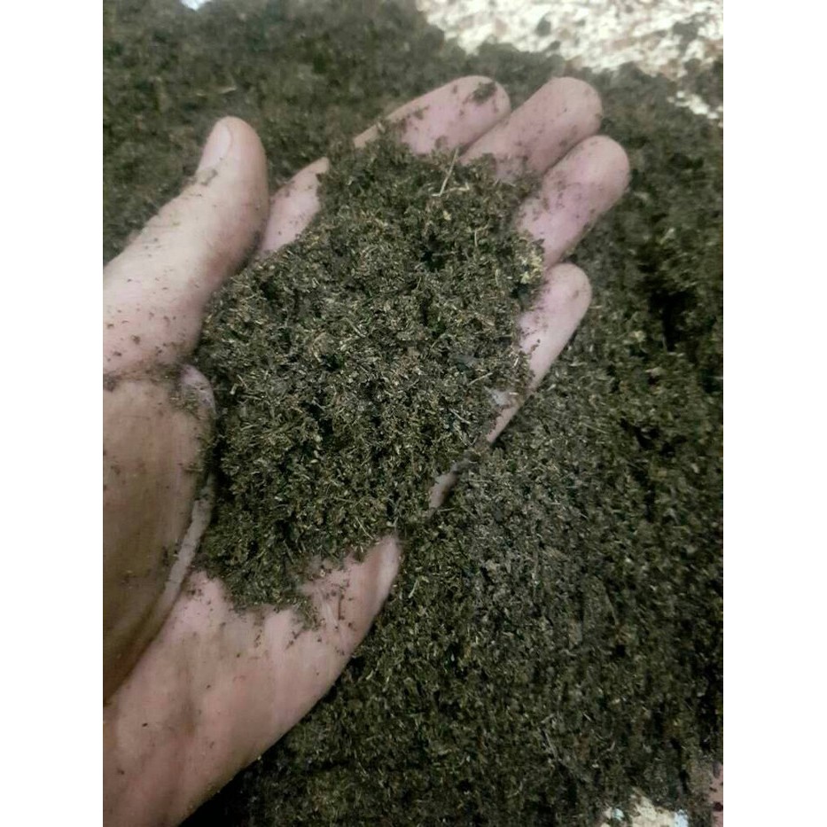 Sphagnum Peatmoss (Raw)