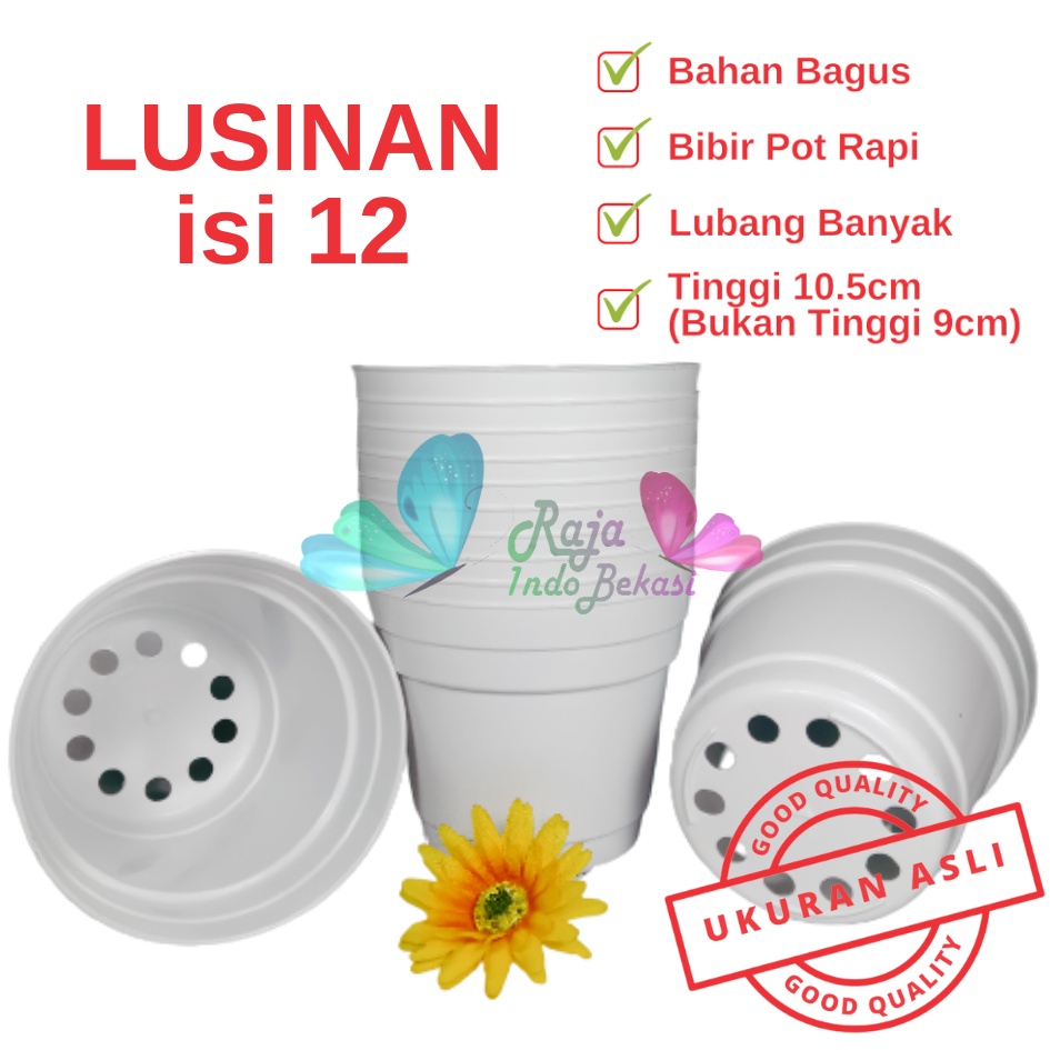 Rajaindobekasi Lusinan Pot 12 Putih Polos - Pot 12 Cm Putih Kecil Mini Minimalis Plastik Kaktus Sukulen Mini Murah Pot Bibit Pembibitan