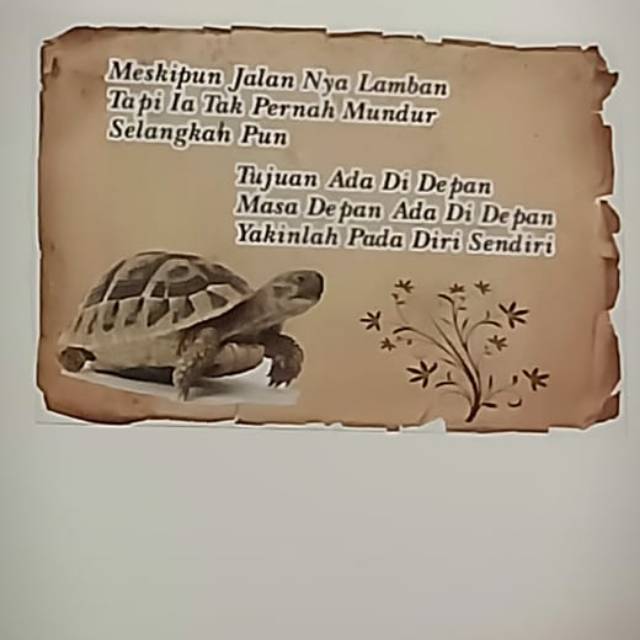 syhierra101