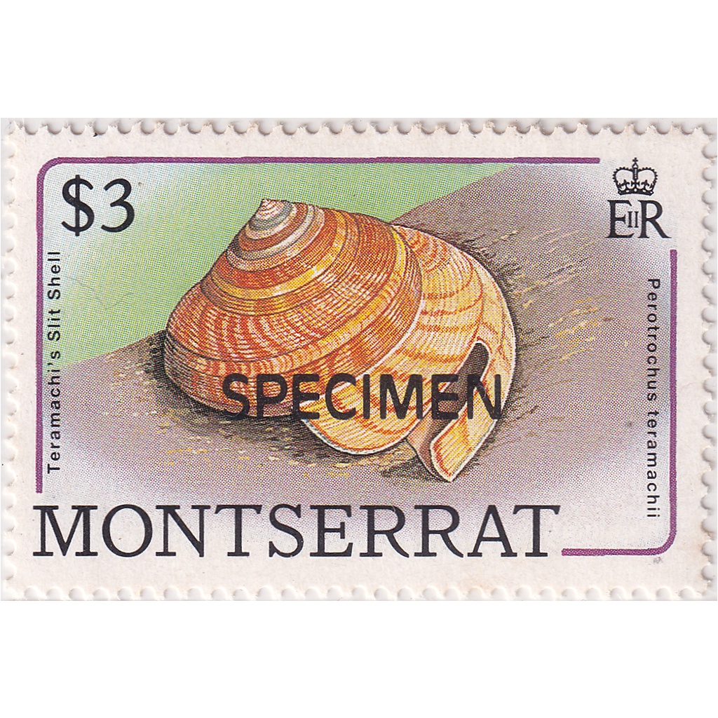 

Prangko Montserrat 1988 - Sea Shells - Specimen 3$