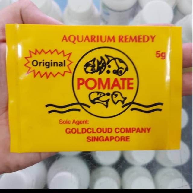 POMATE OBAT IKAN ASLI SINGAPORE