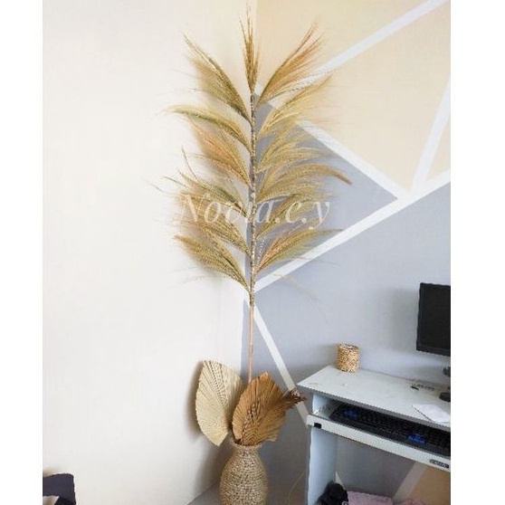 Rayung stik, rayung, stik rayung dekorasi, dried pampas graas