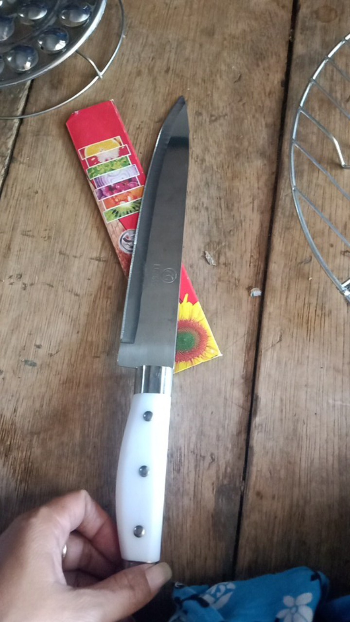 Pisau Dapur Stainless (p2)