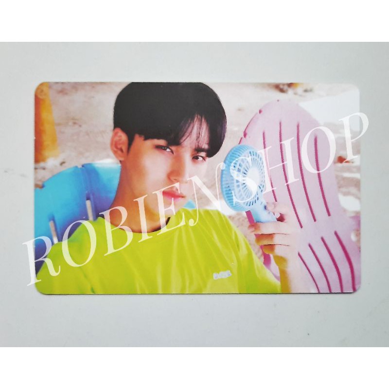 PC MINGYU SEVENTEEN TEEN AGE GREEN VER
