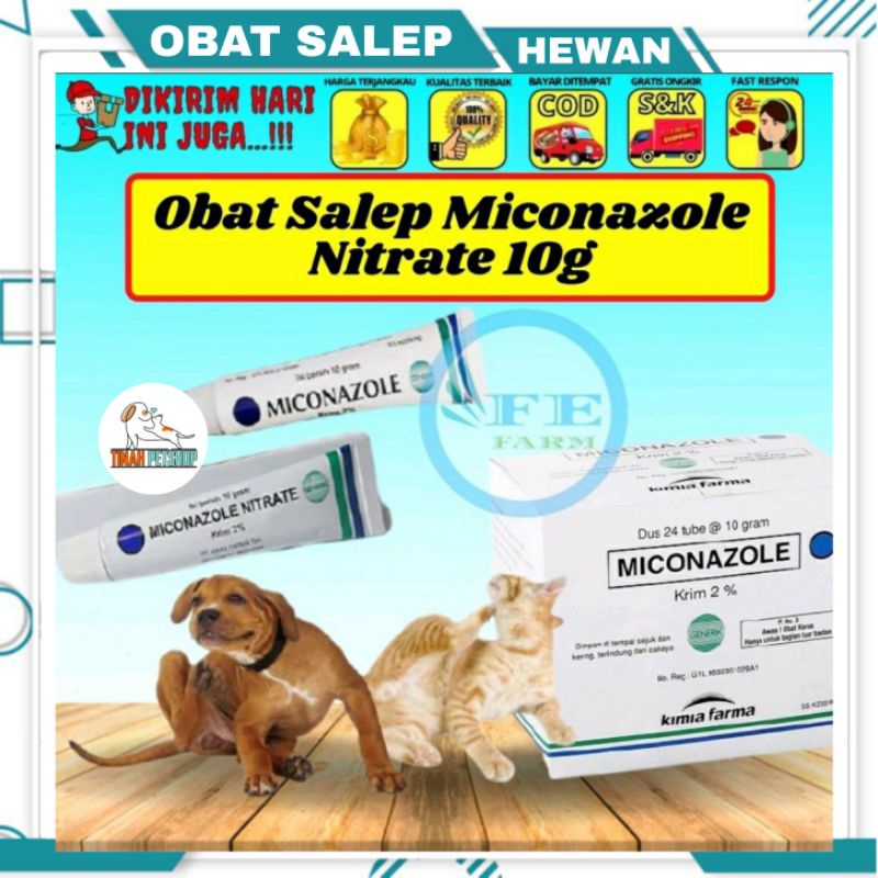 Obat Salep Hewan Miconazole Nitrate 10g Jamur Luka Infeksi Kucing Anjing Non Scabies Derma