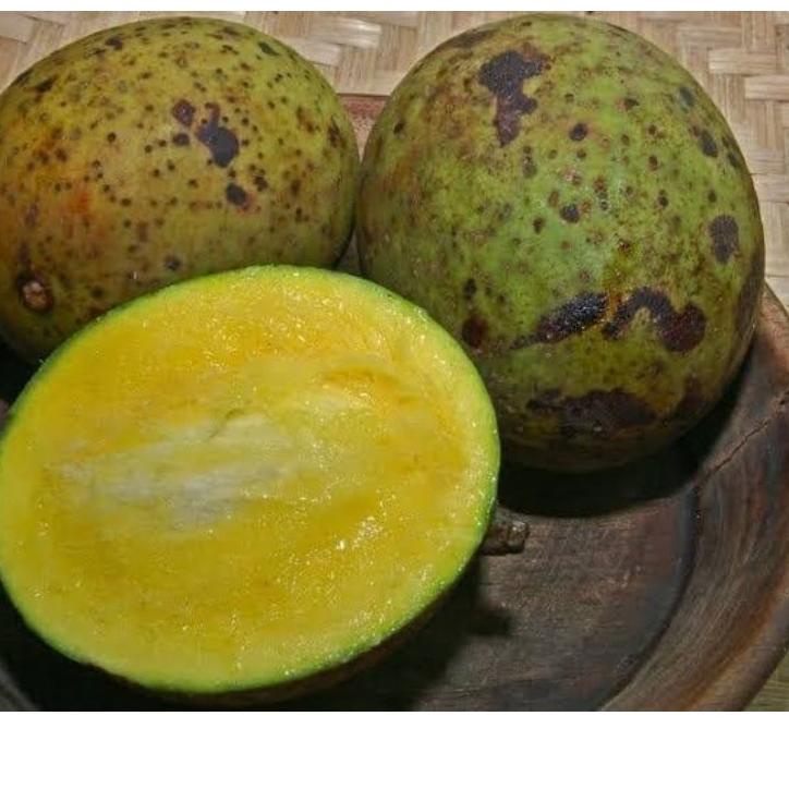 

New Recommended--buah bacang / buah limus / buah pakel 1 kg