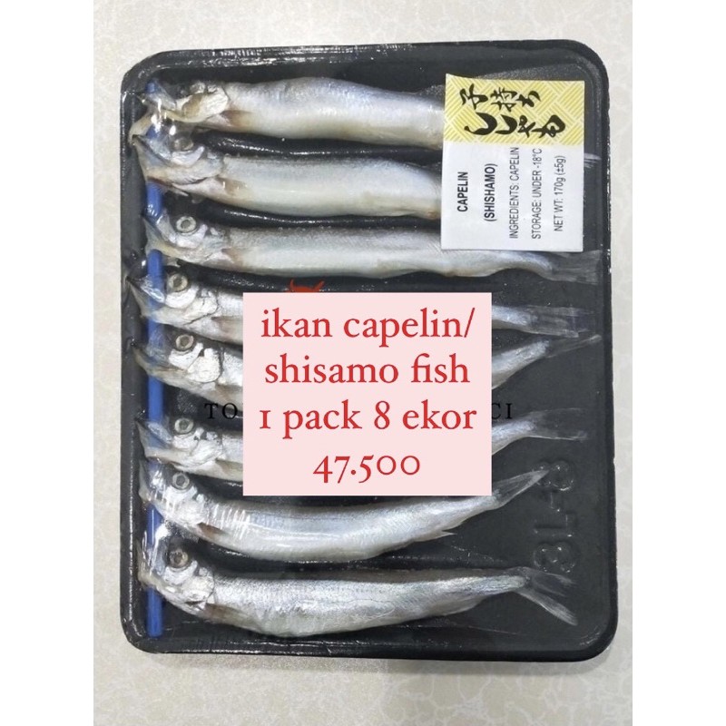 

ikan capelin shisamo fish pack frozen 8 ekor segar