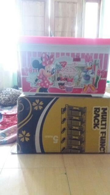 Box Serbaguna Penyimpanan Minnie 3095  Mnp