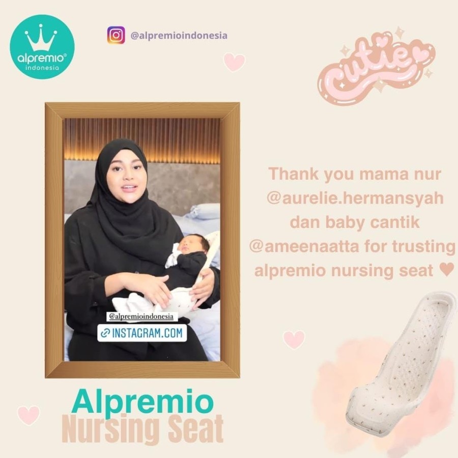 Alpremio Nursing &amp; Feeding Seat (Kursi Gendong Bayi)