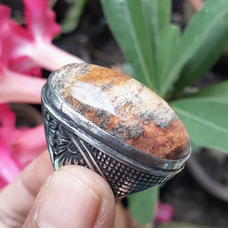 Fosil Kayu Kelor Merah Putih Hitam Coklat Urat Kristal Motif Retak