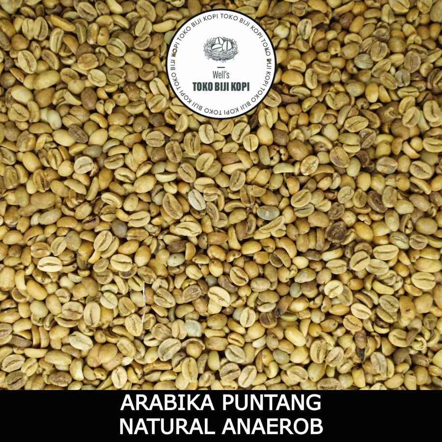 

GREEN BEAN BIJI KOPI ARABIKA PUNTANG NATURAL ANAEROB GRADE 1 - 1 KG
