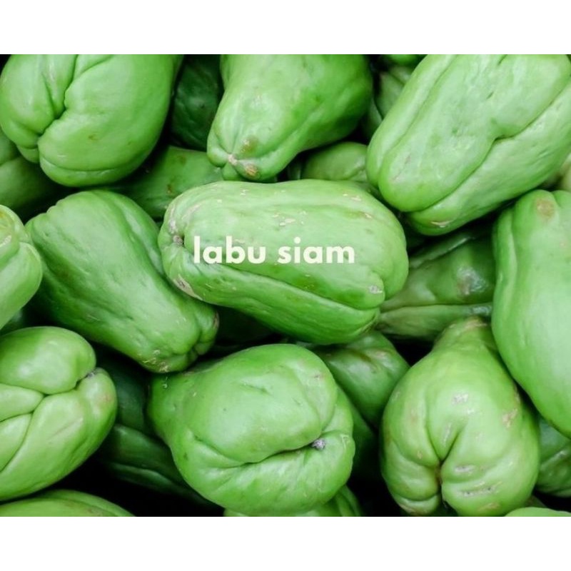 

LABU SIAM KECIL/LABU SIAM LALAP 1PACK FRESH