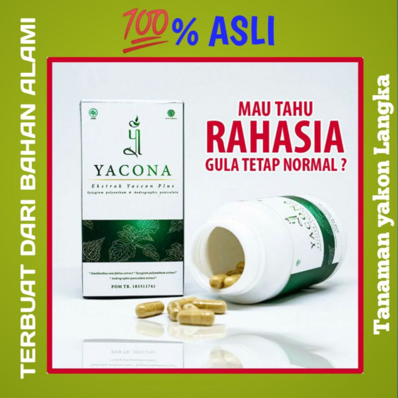 YACONA Herbal Obat Diabetes Manjur Dari bahan Herbal alami
