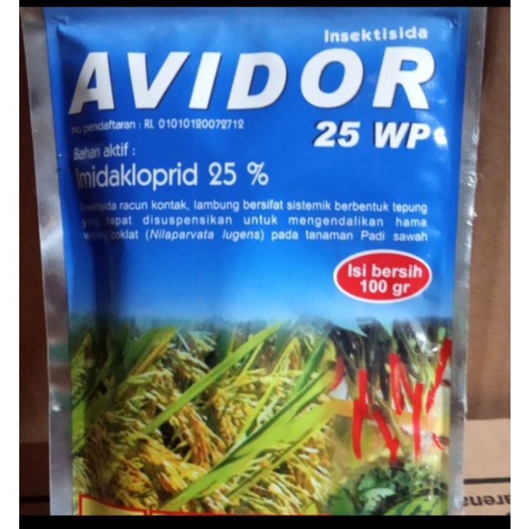 avidor 25 wp100gram