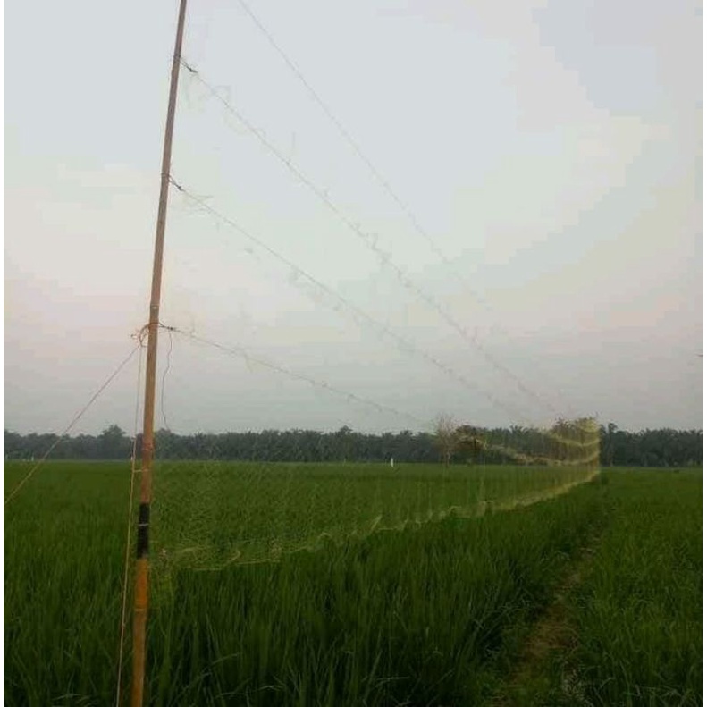 jaring burung mandar siap pakai (5 ris)