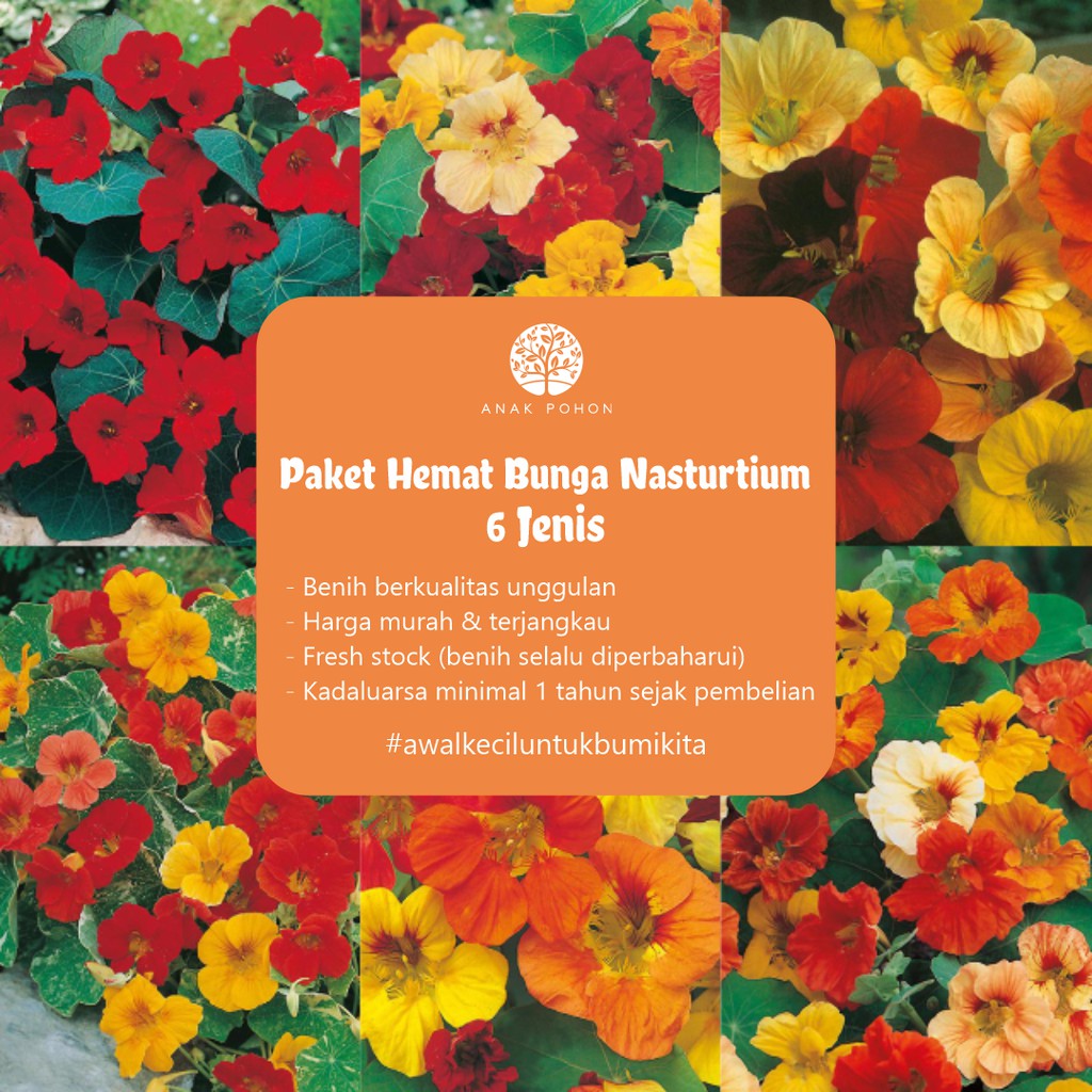 PAKET HEMAT - Benih Bunga Nasturtium 6 Varian Jenis Flower Seeds - Total 18 Biji