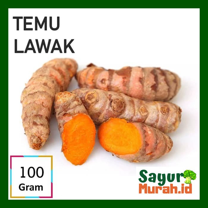 

TEMU LAWAK / Curcuma Zanthorrhiza [100g]