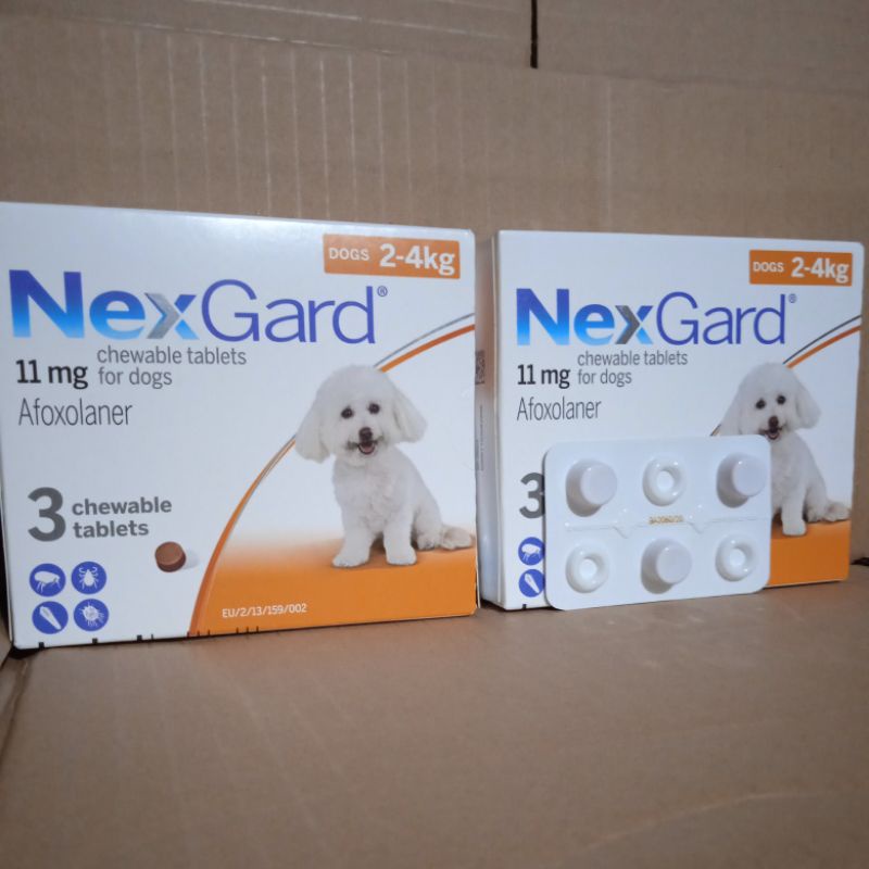 NexGard dog size small 2-4kg anjing obat kutu demodex Scabies 1box
